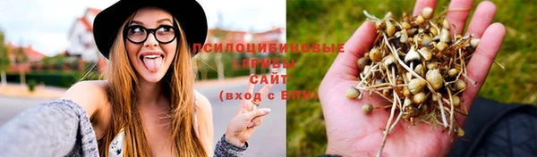 крисы Приозерск